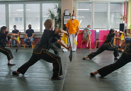 Kinder Kung Fu Basel Gruppe2