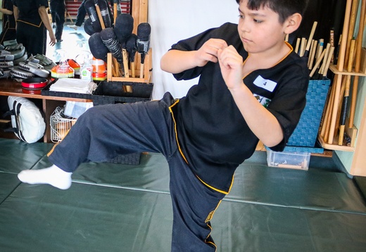 Kinder Kung Fu Basel Gruppe2